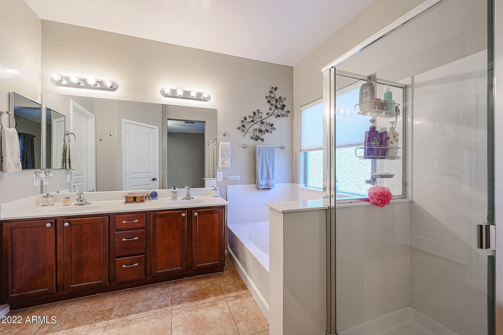 16220 W CROCUS Drive, Surprise, AZ 85379 — photo 24 of 54