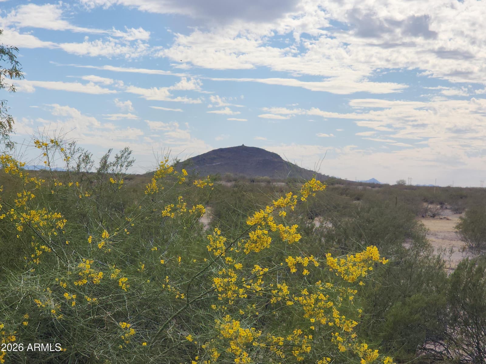 3544 N CHAPPAREL Drive, Florence, AZ 85132 — photo 54 of 54