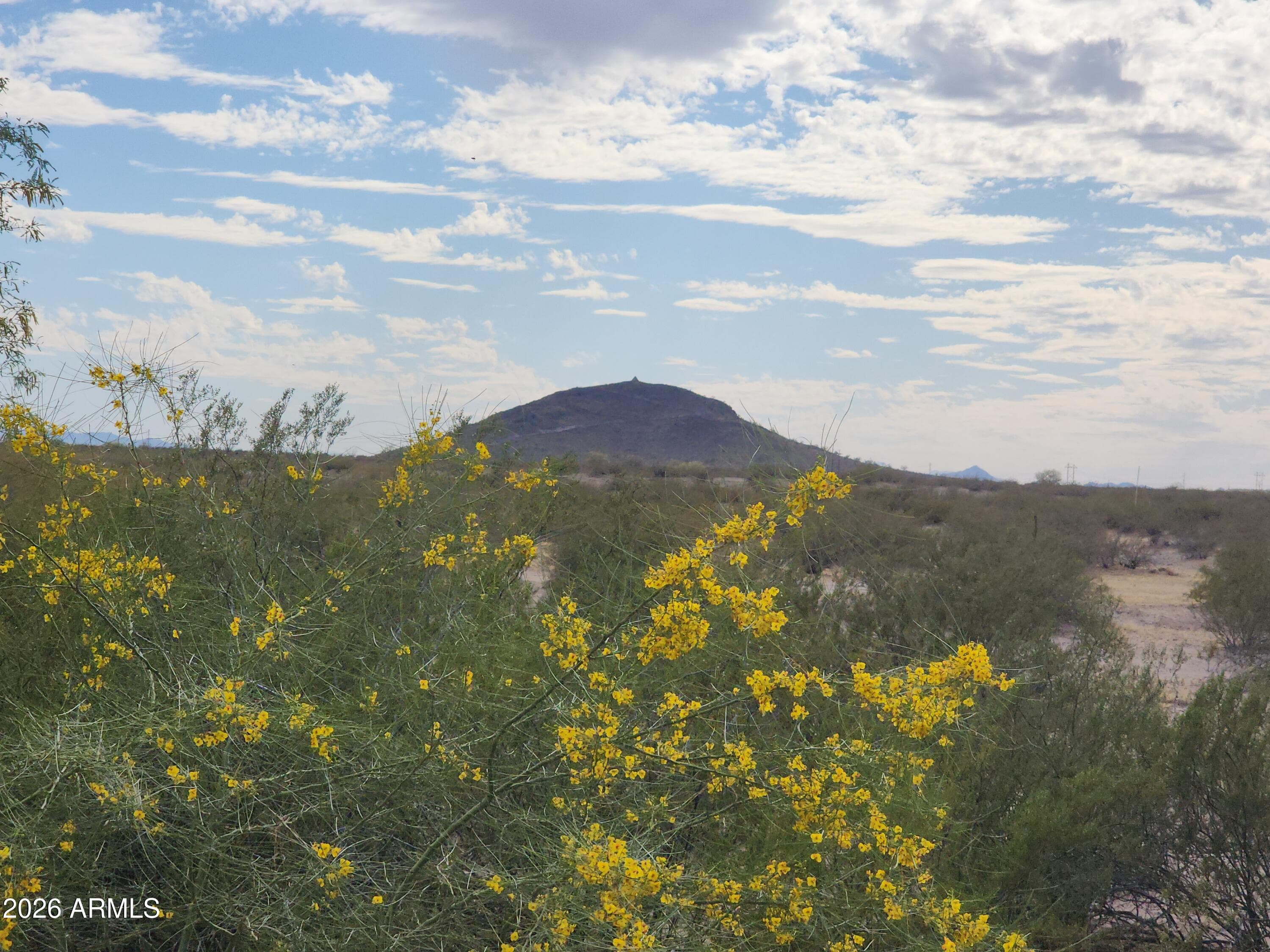 3544 N CHAPPAREL Drive, Florence, AZ 85132 — photo 54 of 54
