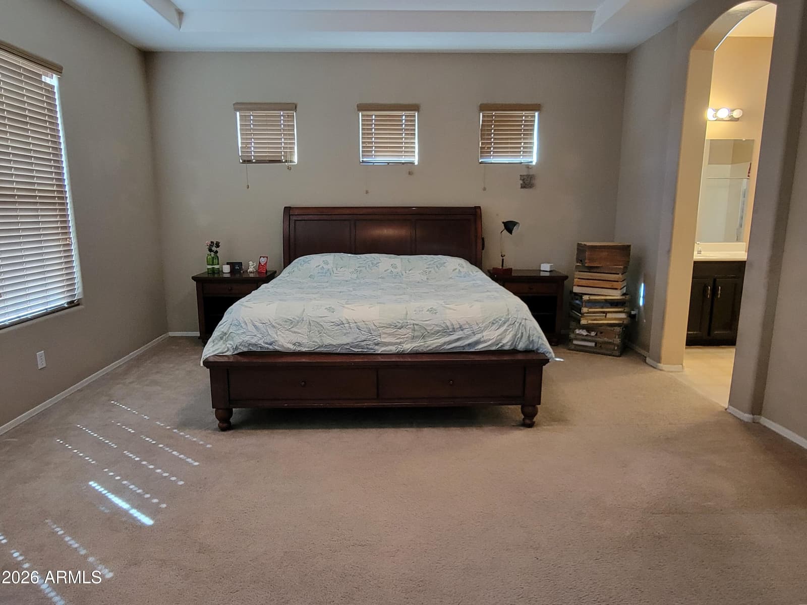 1887 S 161ST Avenue, Goodyear, AZ 85338 — photo 22 of 25