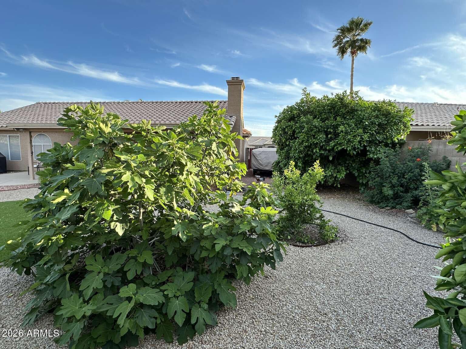 6324 W IRMA Lane, Glendale, AZ 85308 — photo 25 of 33