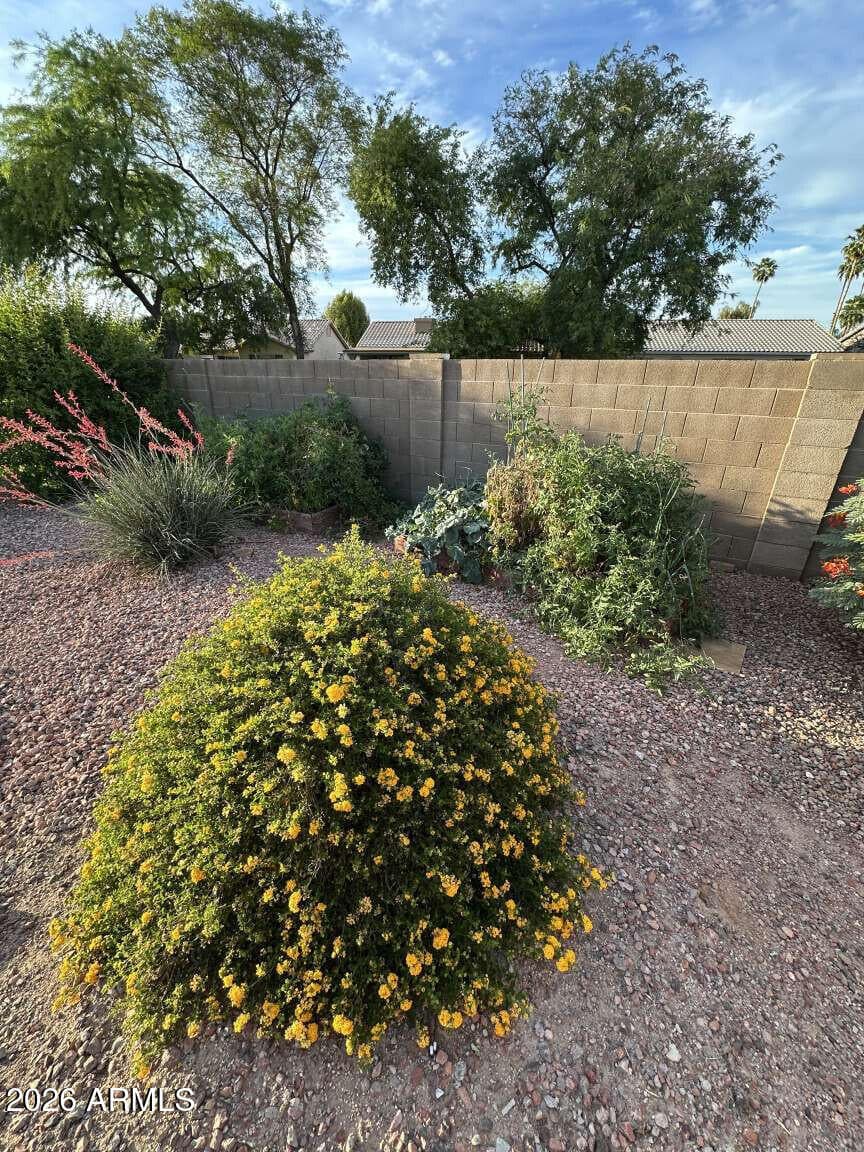 6324 W IRMA Lane, Glendale, AZ 85308 — photo 26 of 33
