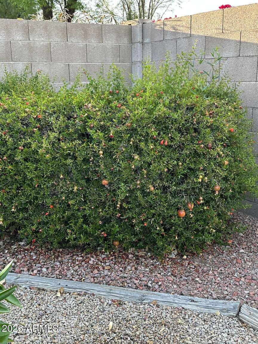 6324 W IRMA Lane, Glendale, AZ 85308 — photo 28 of 33