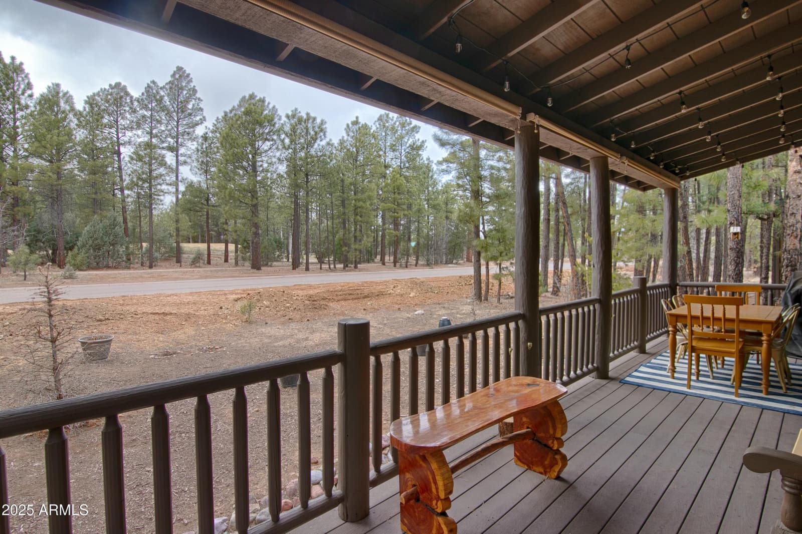 2471 W LODGEPOLE Lane, Show Low, AZ 85901 — photo 18 of 20
