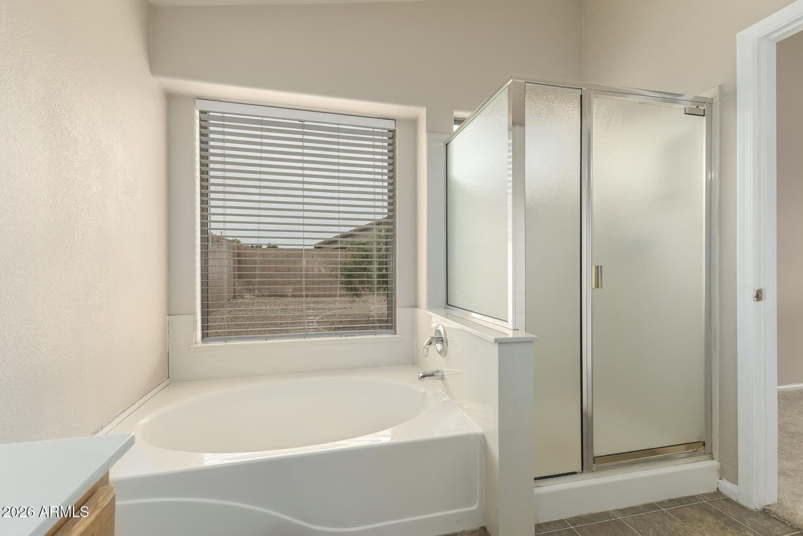 43886 W BAKER Drive, Maricopa, AZ 85138 — photo 16 of 27