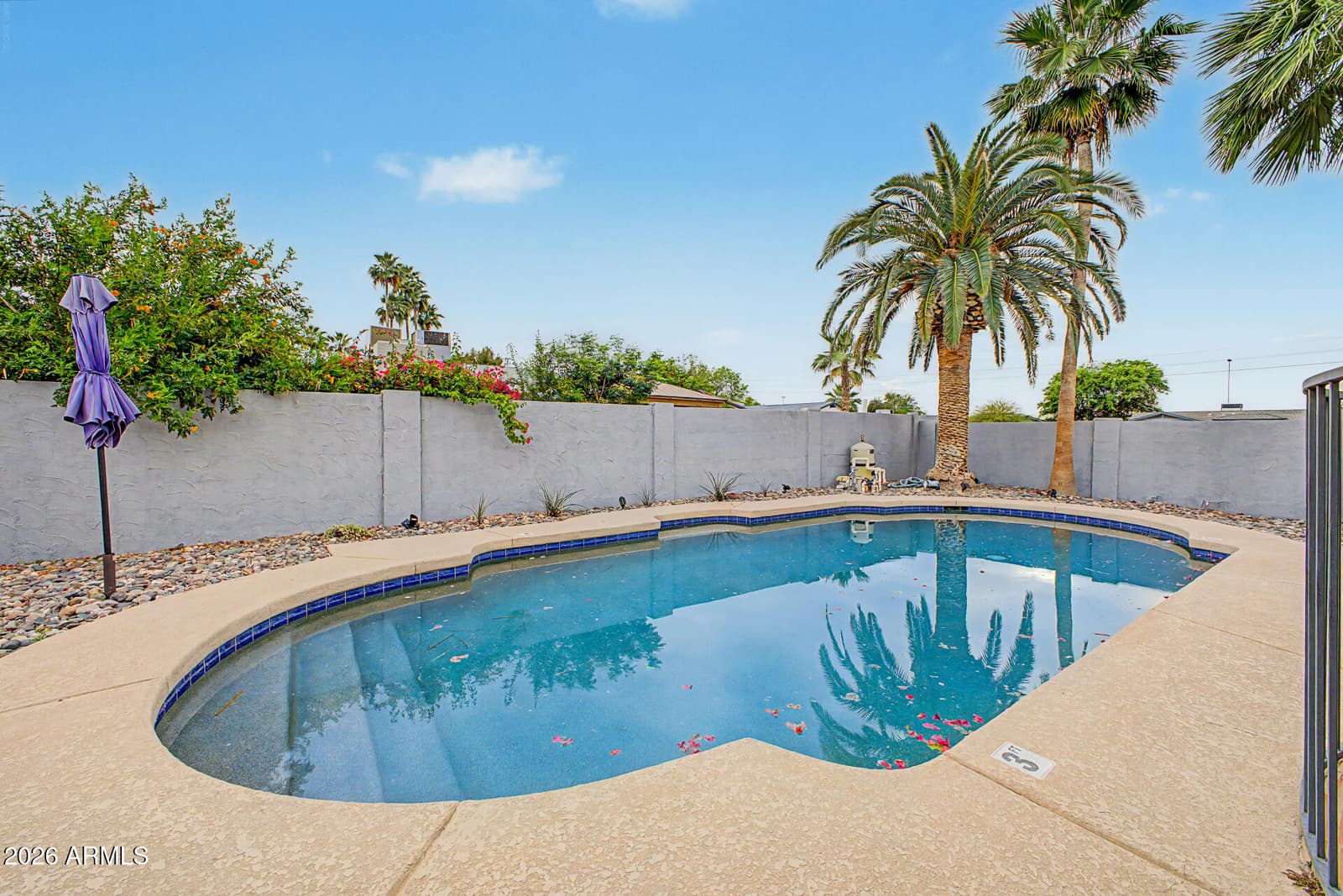 8819 E CORTEZ Street, Scottsdale, AZ 85260 — photo 47 of 49