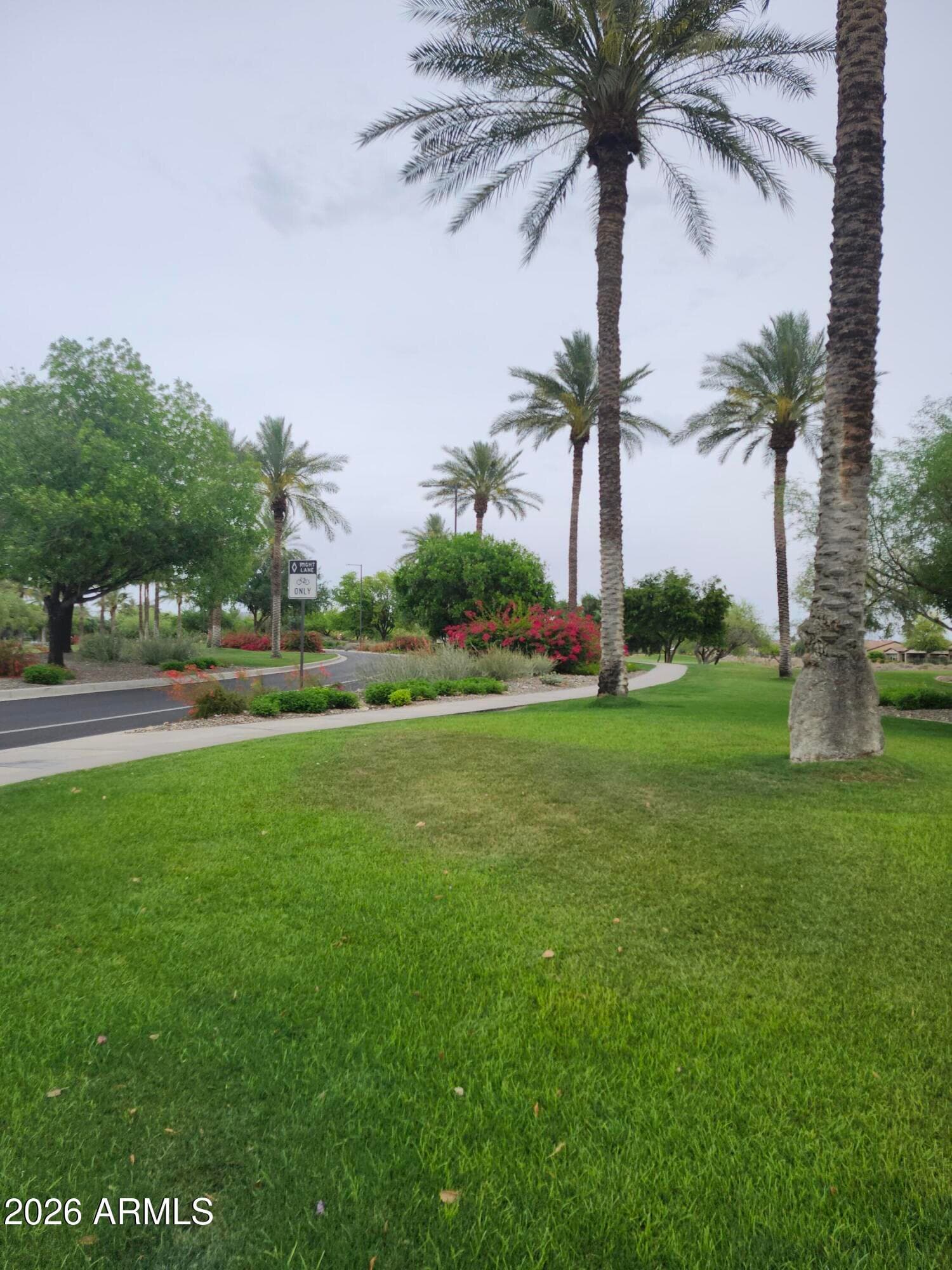 28059 N 123rd Lane, Peoria, AZ 85383 — photo 31 of 42