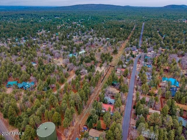 5468 Apache Trail, Pinetop, AZ 85935 — photo 72 of 74