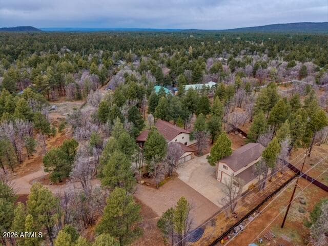 5468 Apache Trail, Pinetop, AZ 85935 — photo 73 of 74