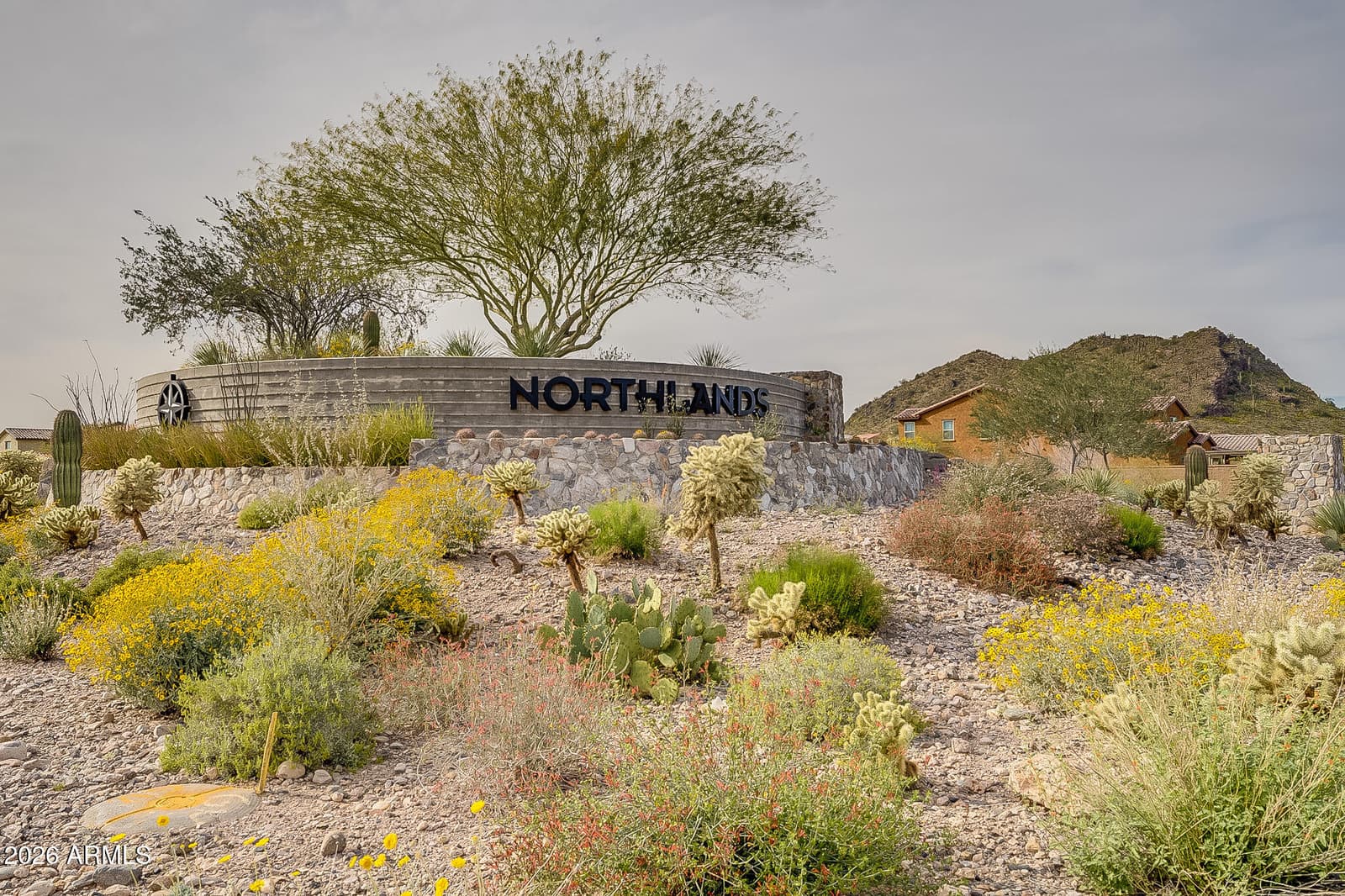 10380 W ALYSSA Lane, Peoria, AZ 85383 — photo 94 of 111