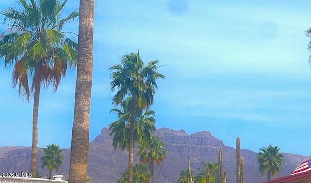 2605 S Tomahawk Road 187, Apache Junction, AZ 85119 — photo 34 of 35