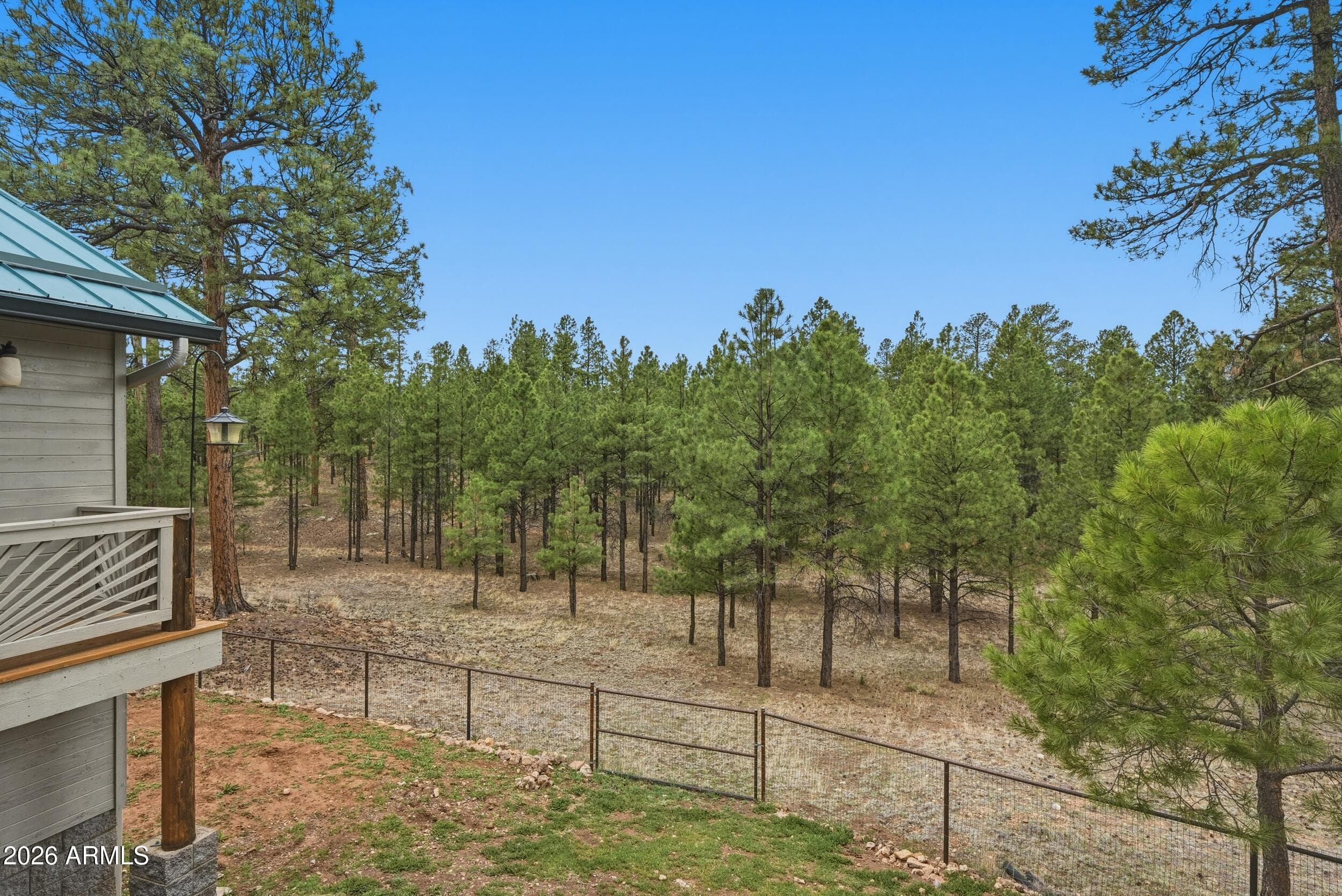2542 SIOUX Lane, Happy Jack, AZ 86024 — photo 37 of 47