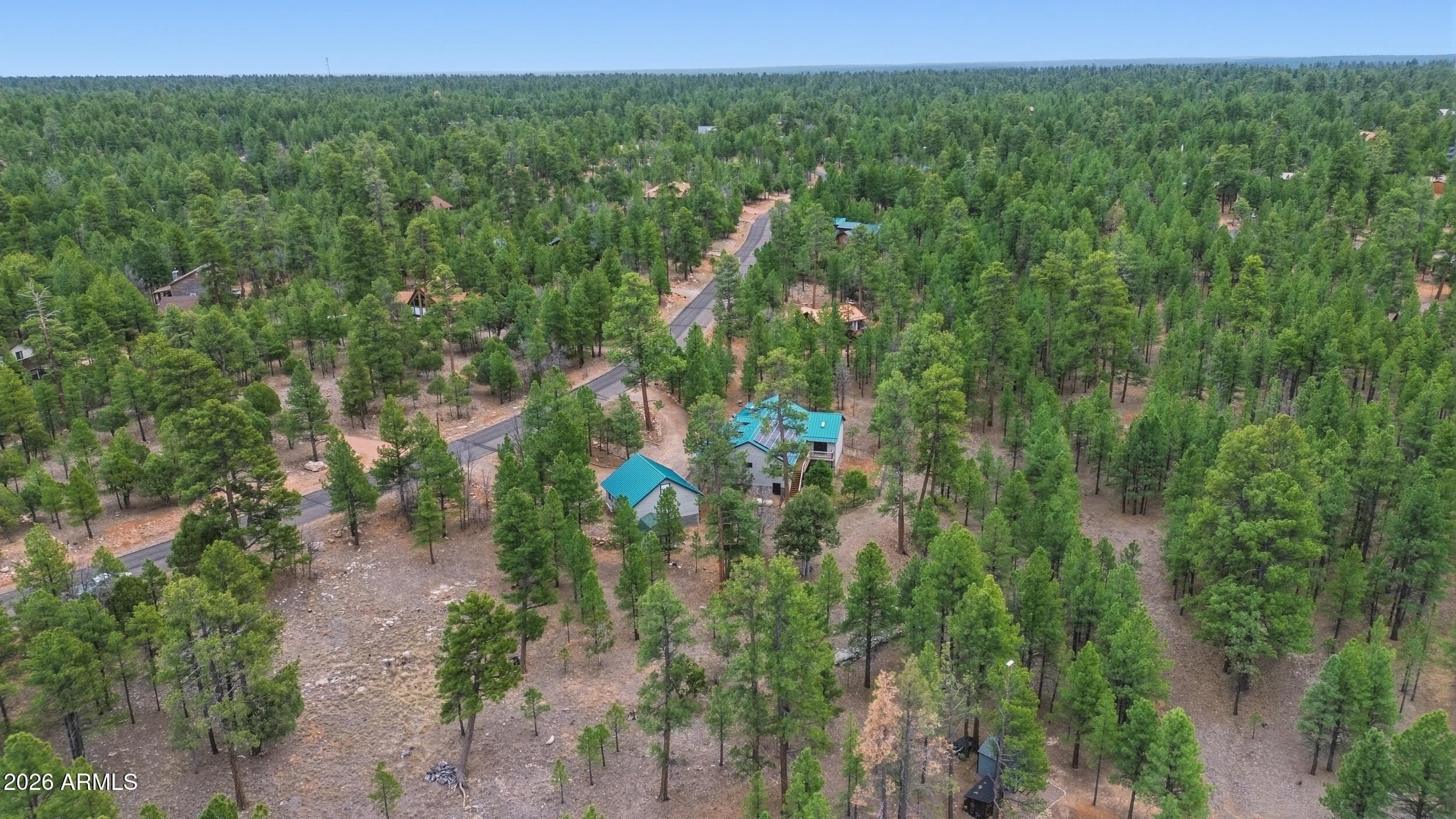 2542 SIOUX Lane, Happy Jack, AZ 86024 — photo 46 of 47