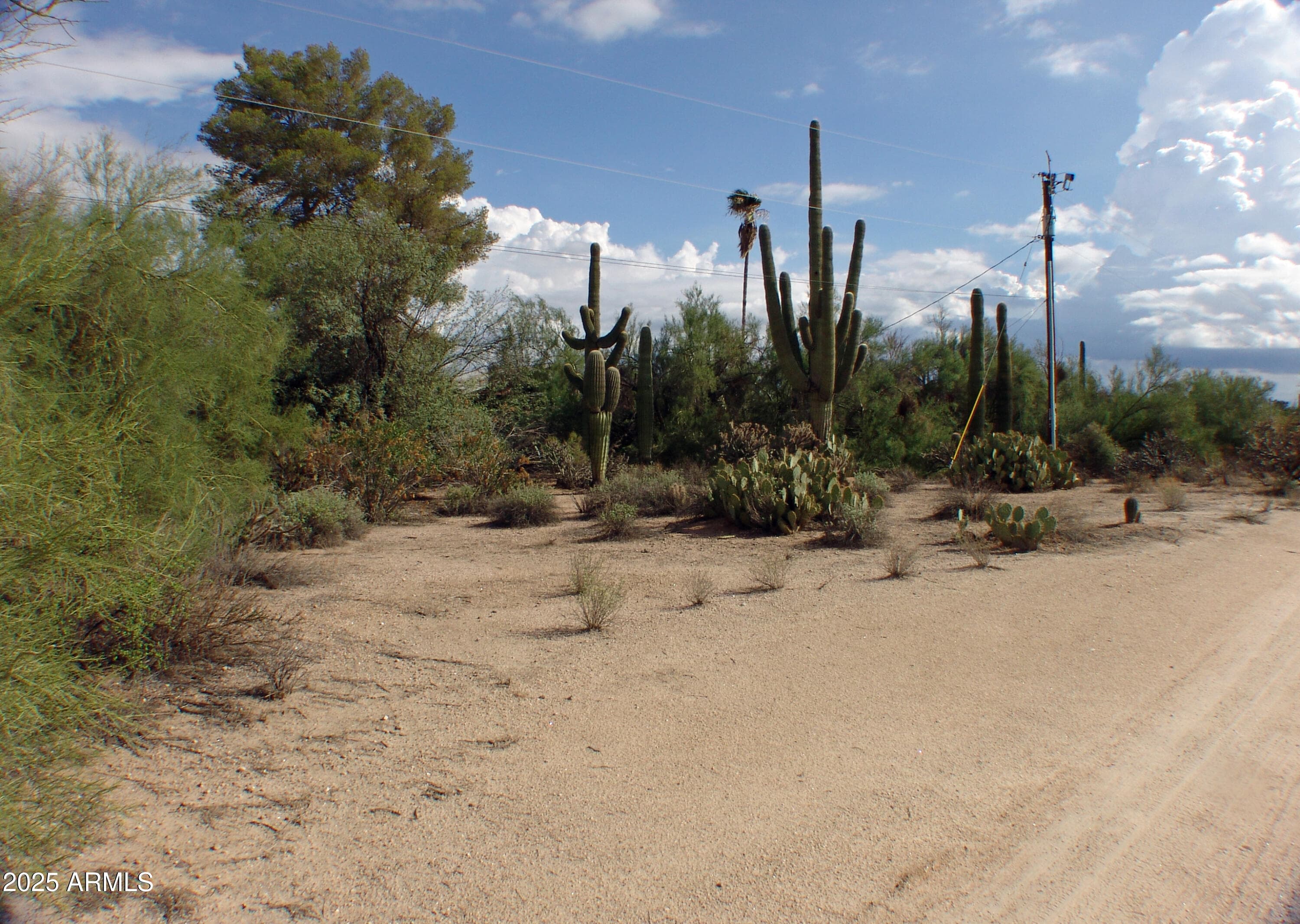 31607 N 64TH Street, Cave Creek, AZ 85331 — photo 52 of 58
