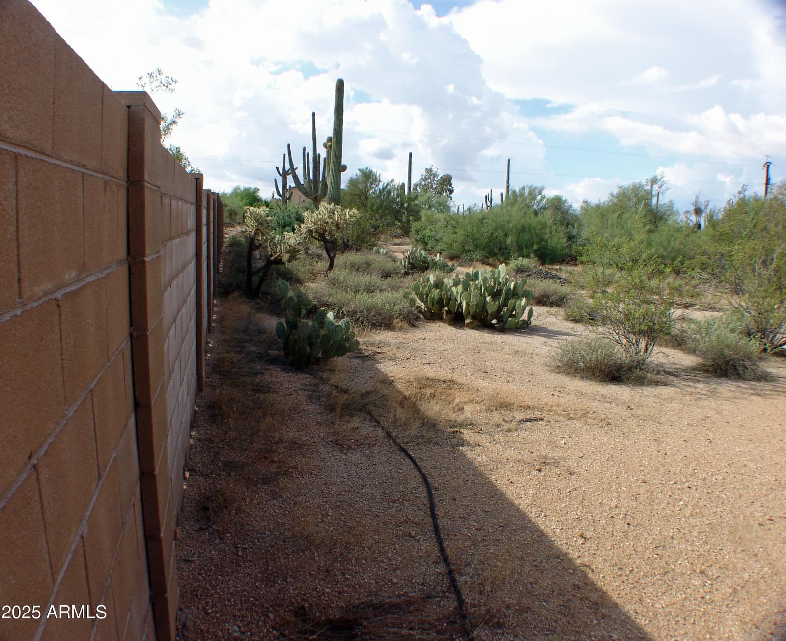 31607 N 64TH Street, Cave Creek, AZ 85331 — photo 57 of 58