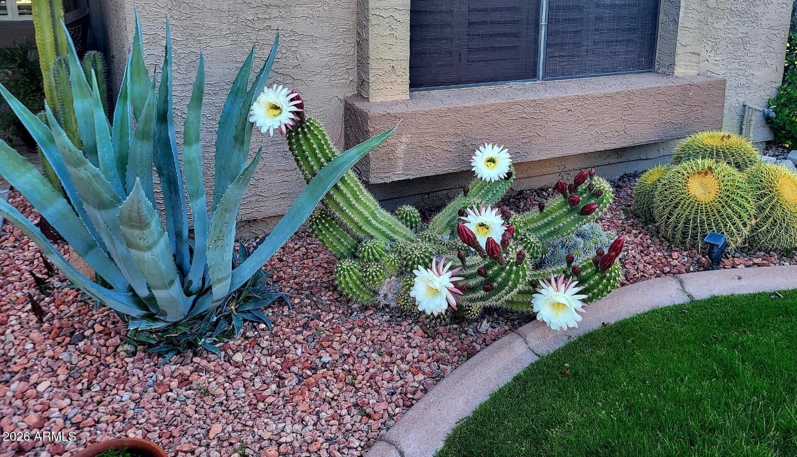 19122 N 98th Lane, Peoria, AZ 85382 — photo 48 of 48