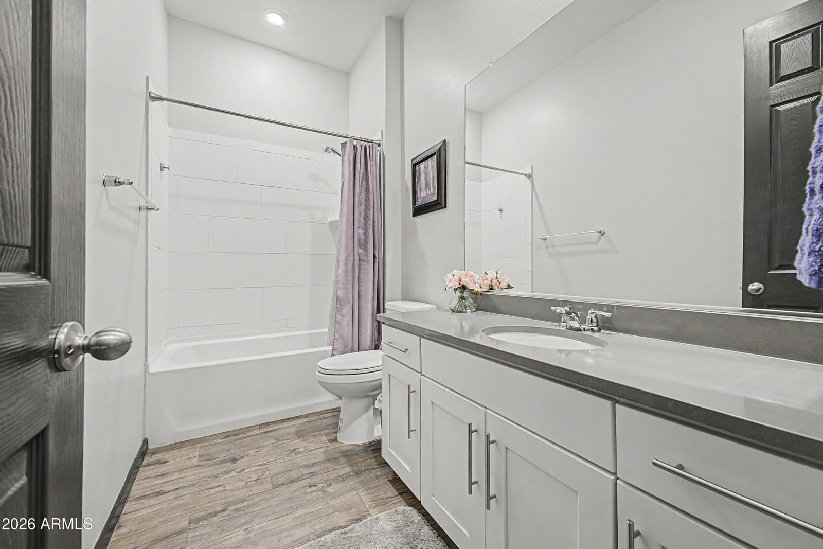 23602 N 167TH Lane, Surprise, AZ 85387 — photo 15 of 26