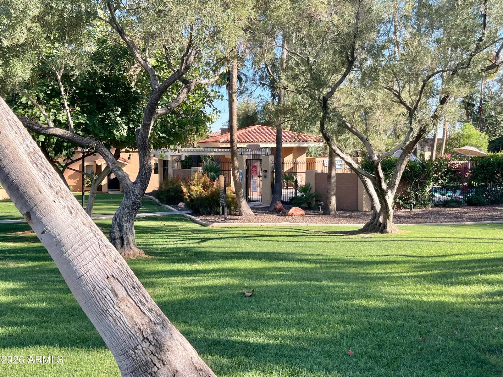 10449 N 9TH Street, Phoenix, AZ 85020 — photo 39 of 42