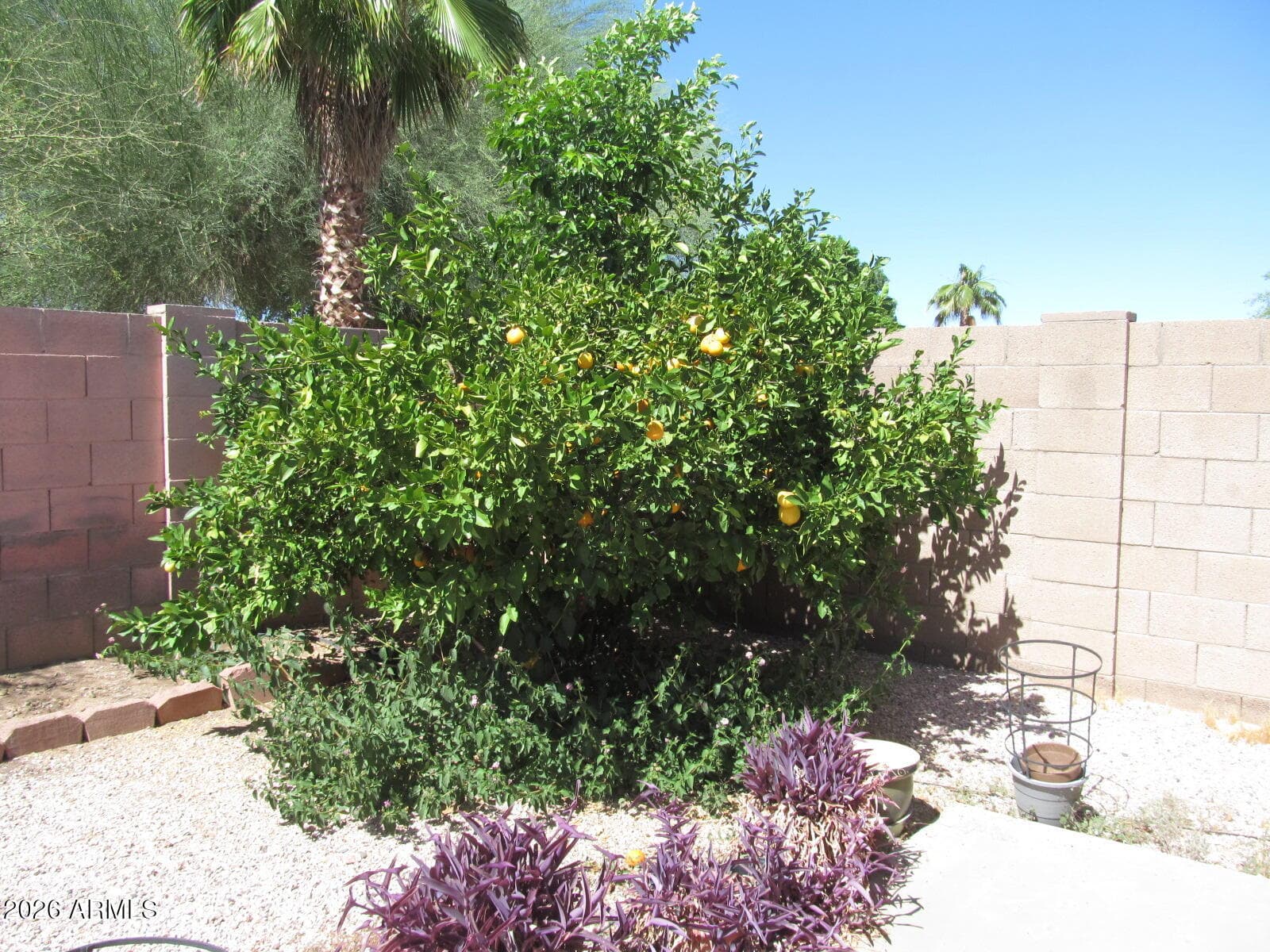 15450 N 161ST Avenue, Surprise, AZ 85374 — photo 19 of 22
