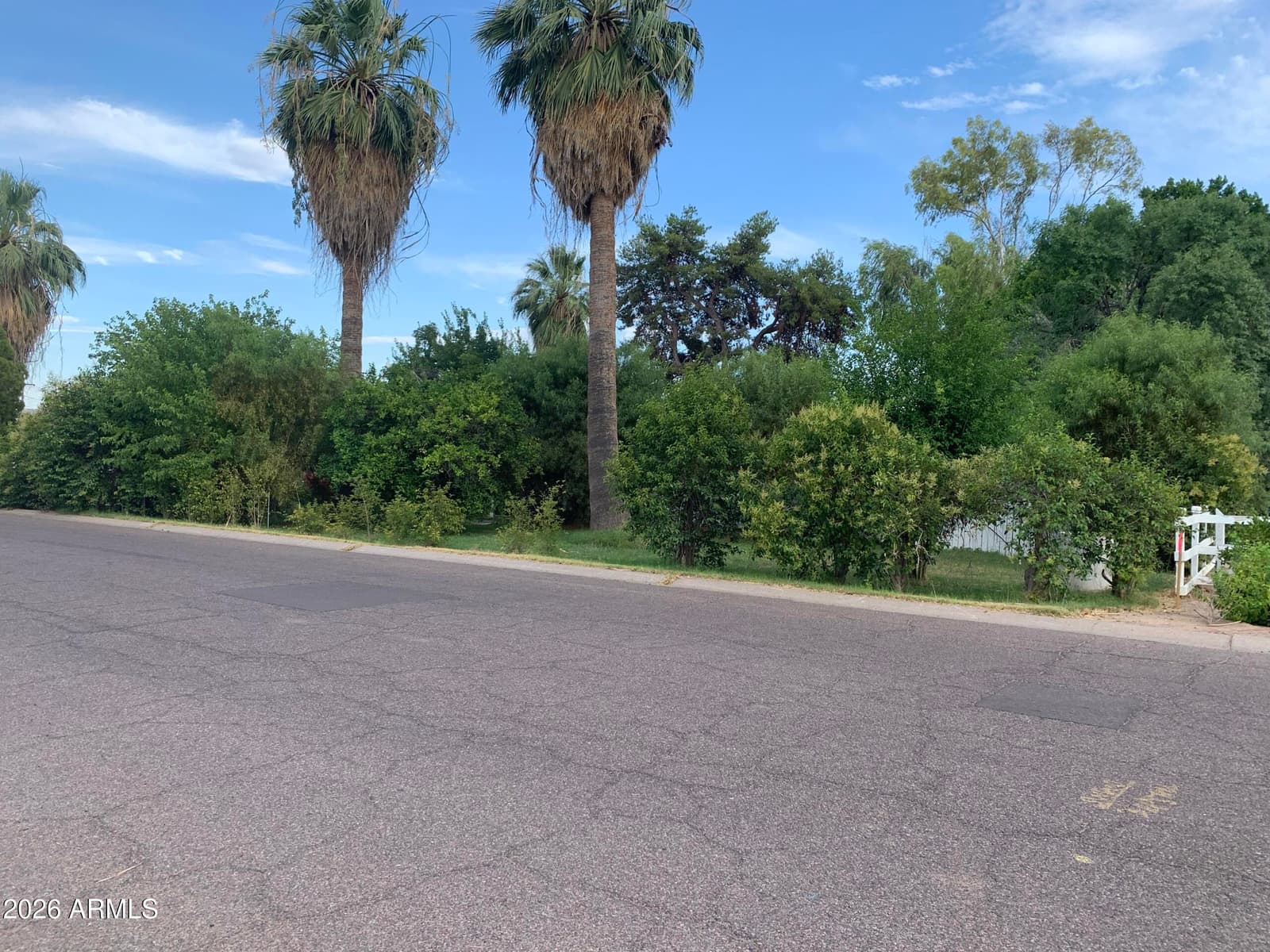 323 E ROSE Lane, Phoenix, AZ 85012 — photo 4 of 20