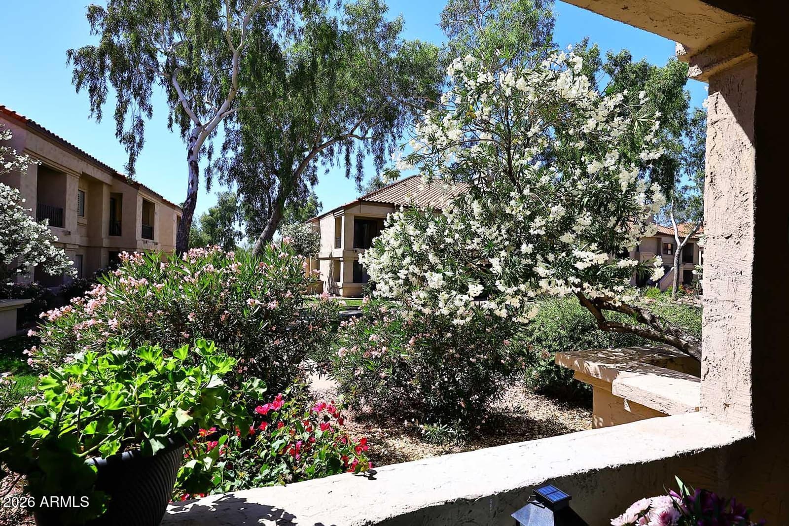 9708 E VIA LINDA 1333, Scottsdale, AZ 85258 — photo 6 of 32