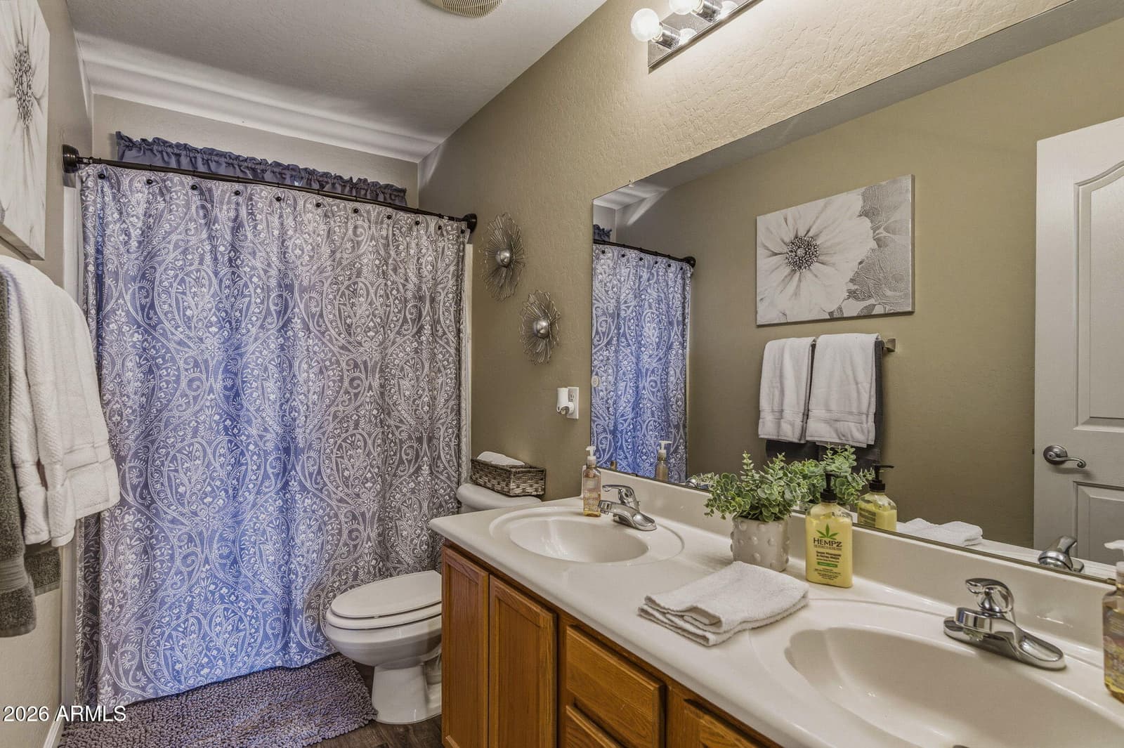 36591 W COSTA BLANCA Drive, Maricopa, AZ 85138 — photo 31 of 38