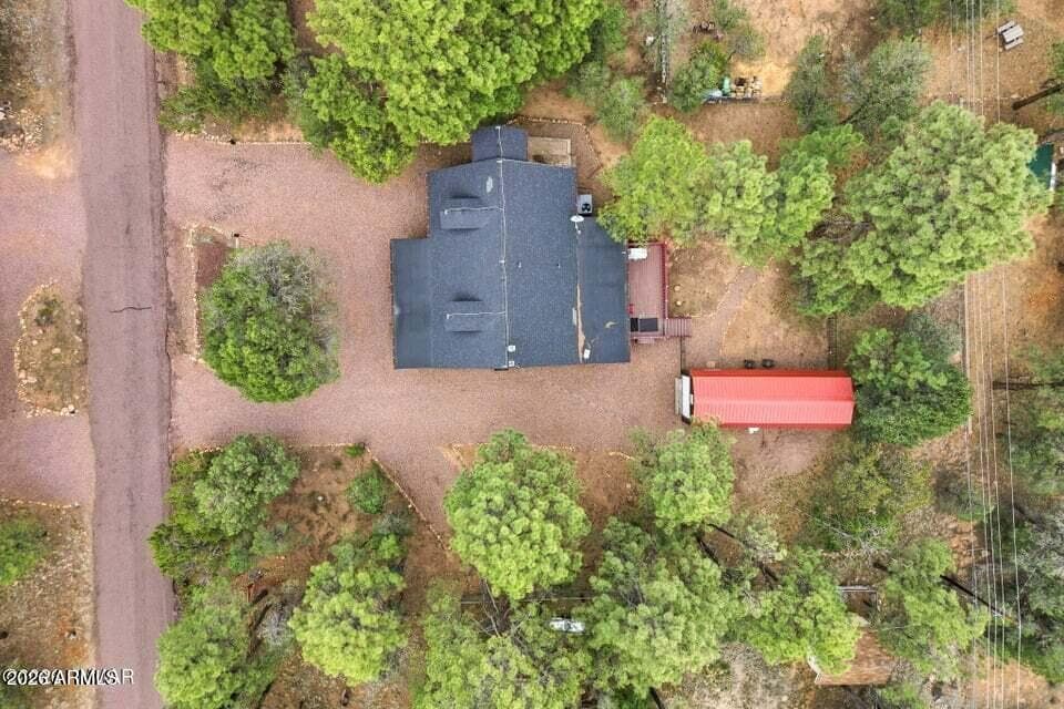 3349 PANORAMA Drive, Overgaard, AZ 85933 — photo 43 of 47