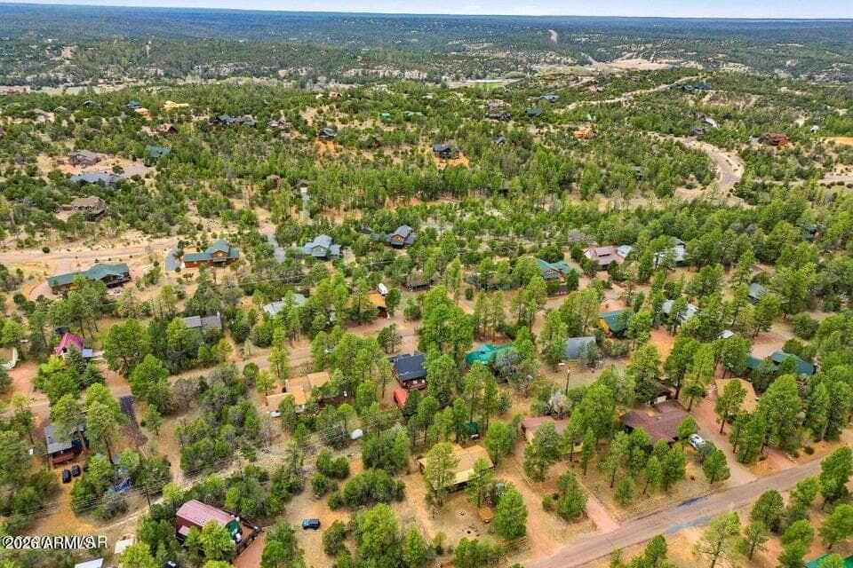 3349 PANORAMA Drive, Overgaard, AZ 85933 — photo 44 of 47