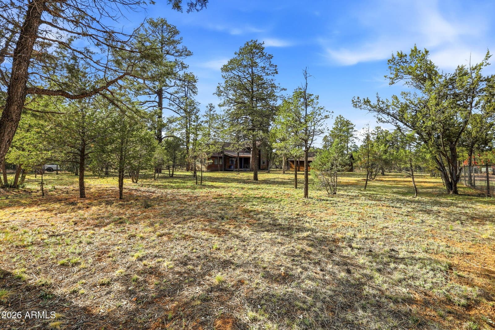 3022 CHEVELON Road, Overgaard, AZ 85933 — photo 26 of 36