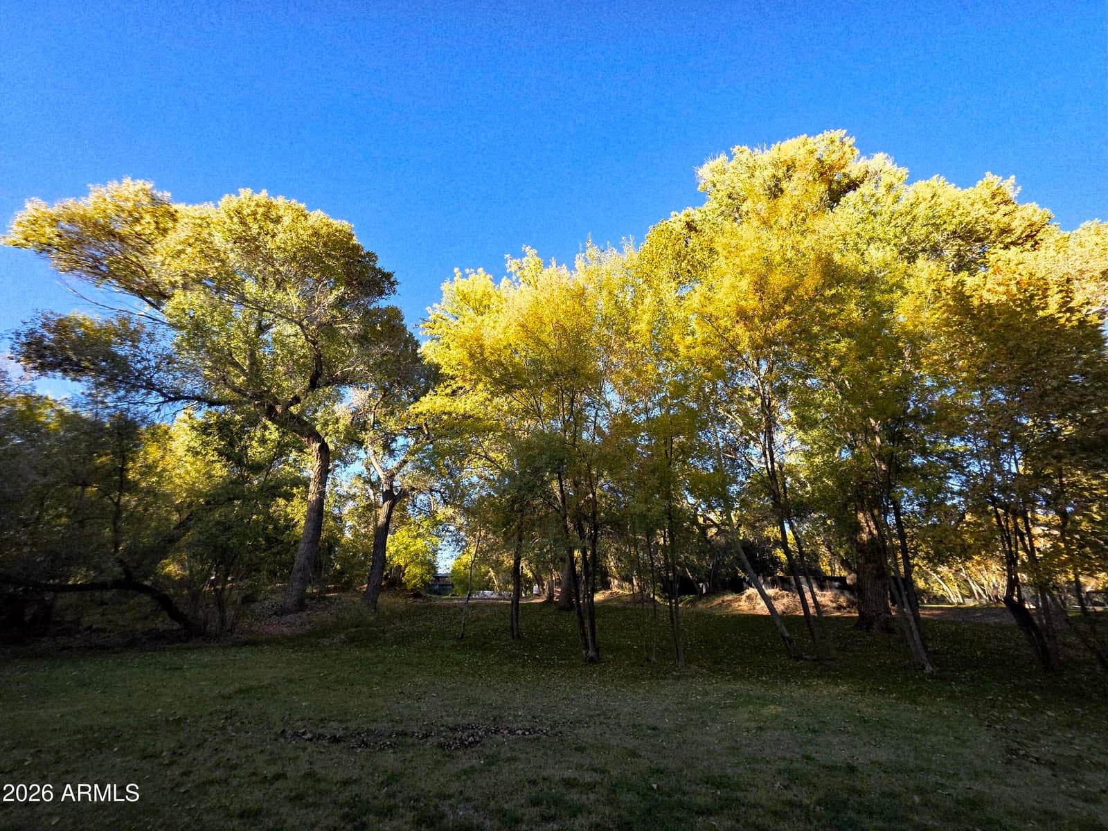 1225 N Willow Point Road, Cornville, AZ 86325 — photo 125 of 129