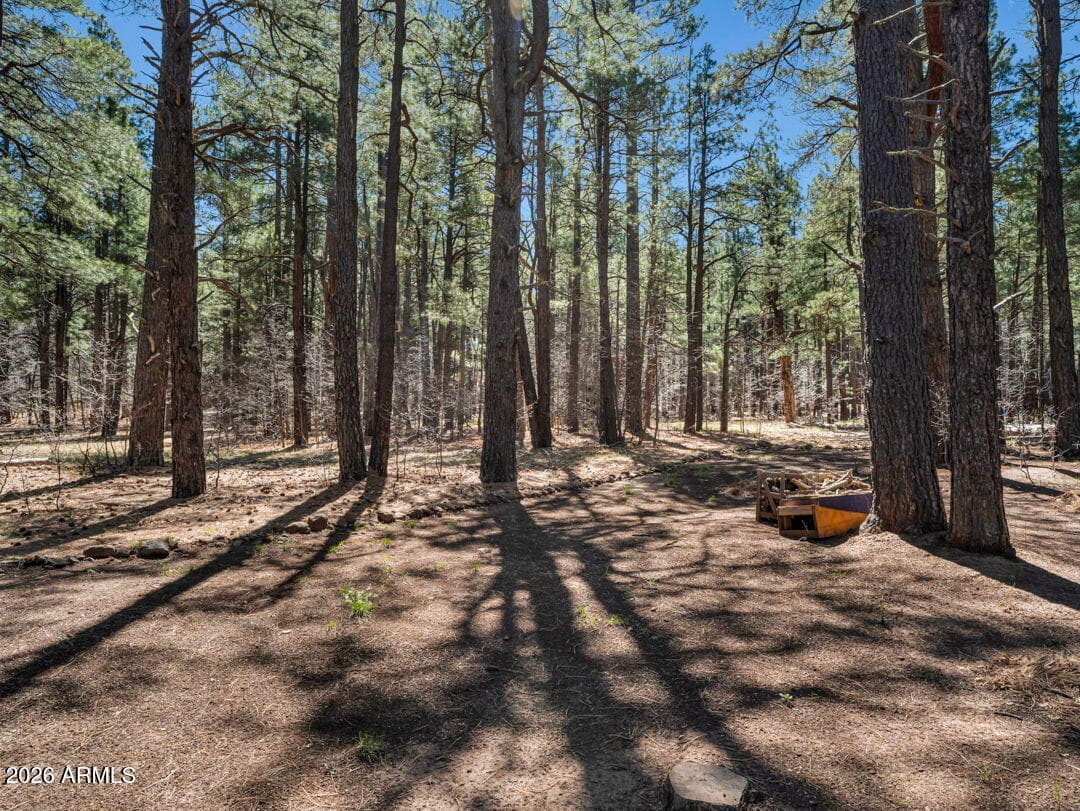 79 SANDIGE Lane, Mormon Lake, AZ 86038 — photo 58 of 73