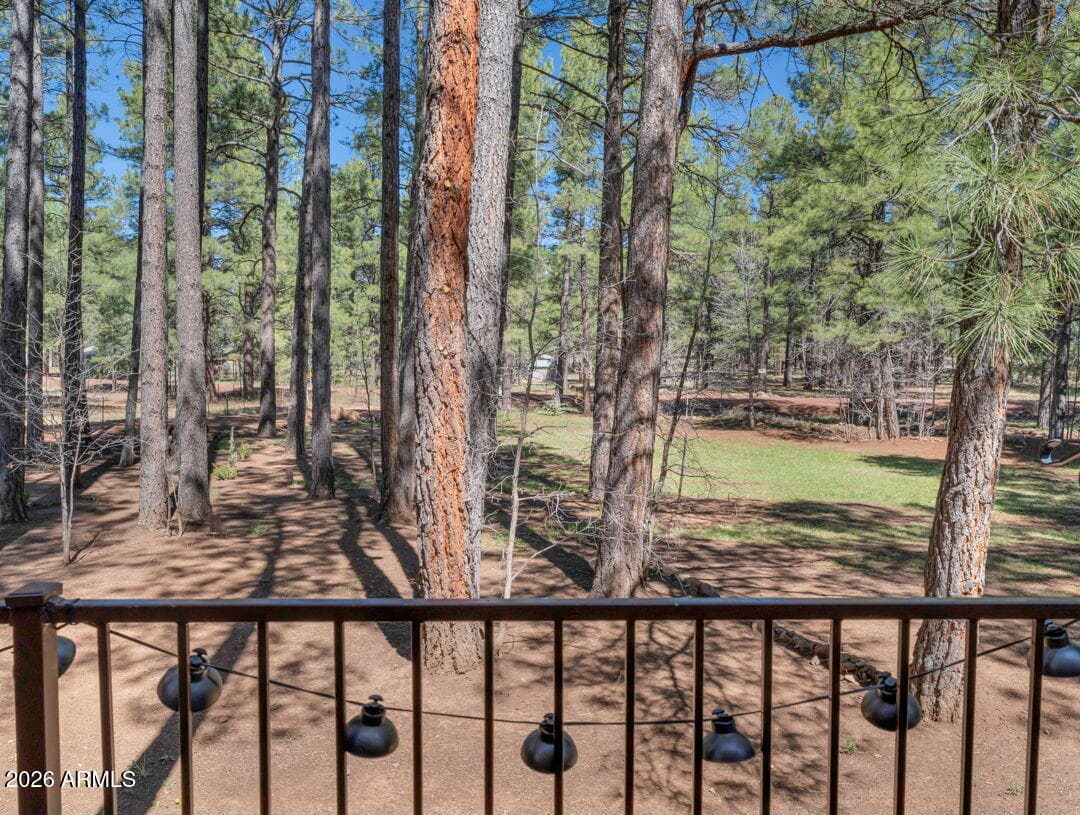 79 SANDIGE Lane, Mormon Lake, AZ 86038 — photo 65 of 73