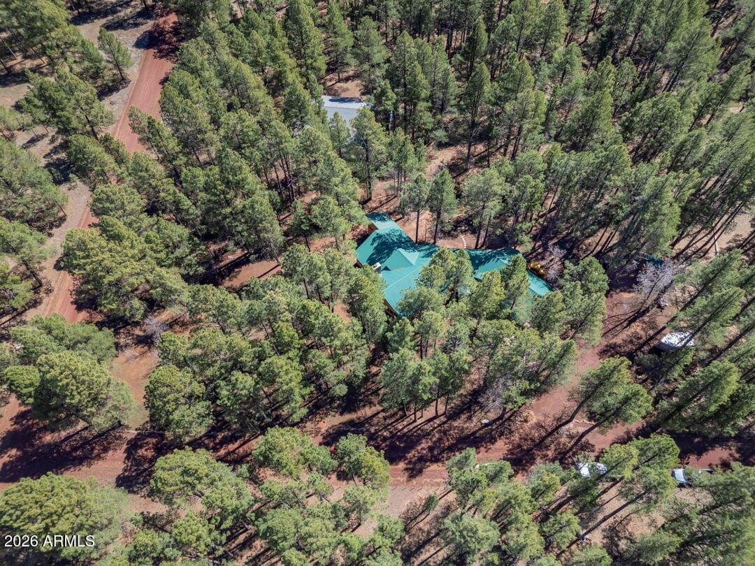 79 SANDIGE Lane, Mormon Lake, AZ 86038 — photo 67 of 73