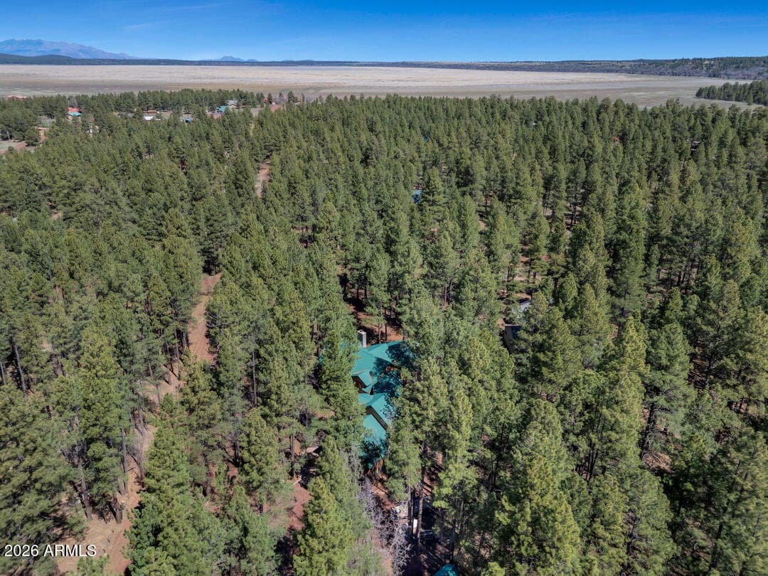 79 SANDIGE Lane, Mormon Lake, AZ 86038 — photo 68 of 73