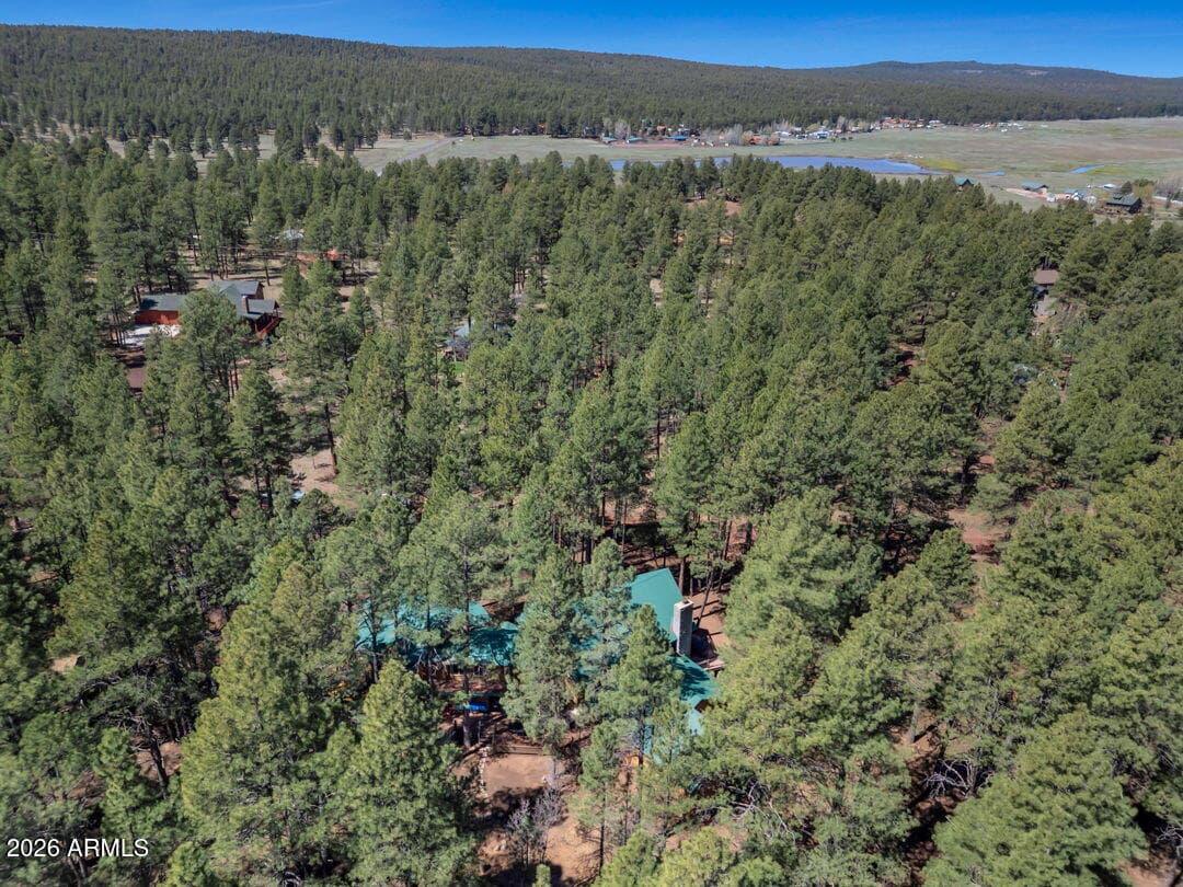 79 SANDIGE Lane, Mormon Lake, AZ 86038 — photo 69 of 73