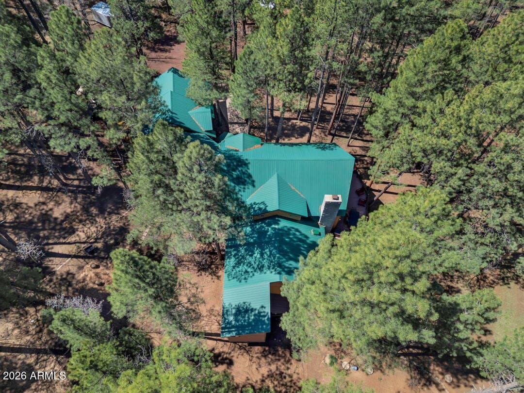 79 SANDIGE Lane, Mormon Lake, AZ 86038 — photo 70 of 73