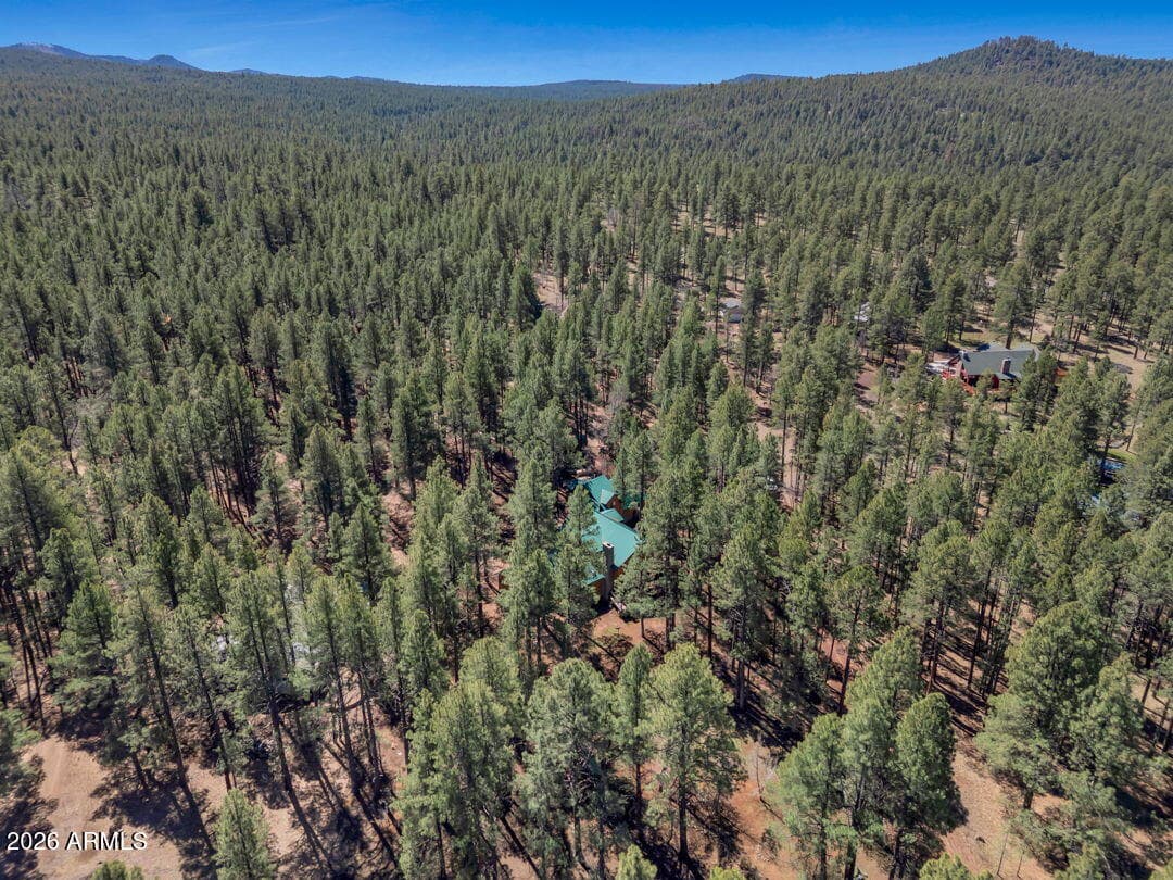 79 SANDIGE Lane, Mormon Lake, AZ 86038 — photo 71 of 73