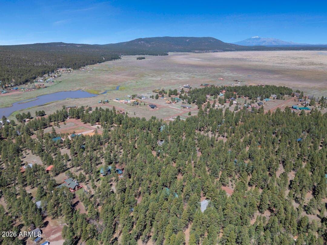 79 SANDIGE Lane, Mormon Lake, AZ 86038 — photo 72 of 73