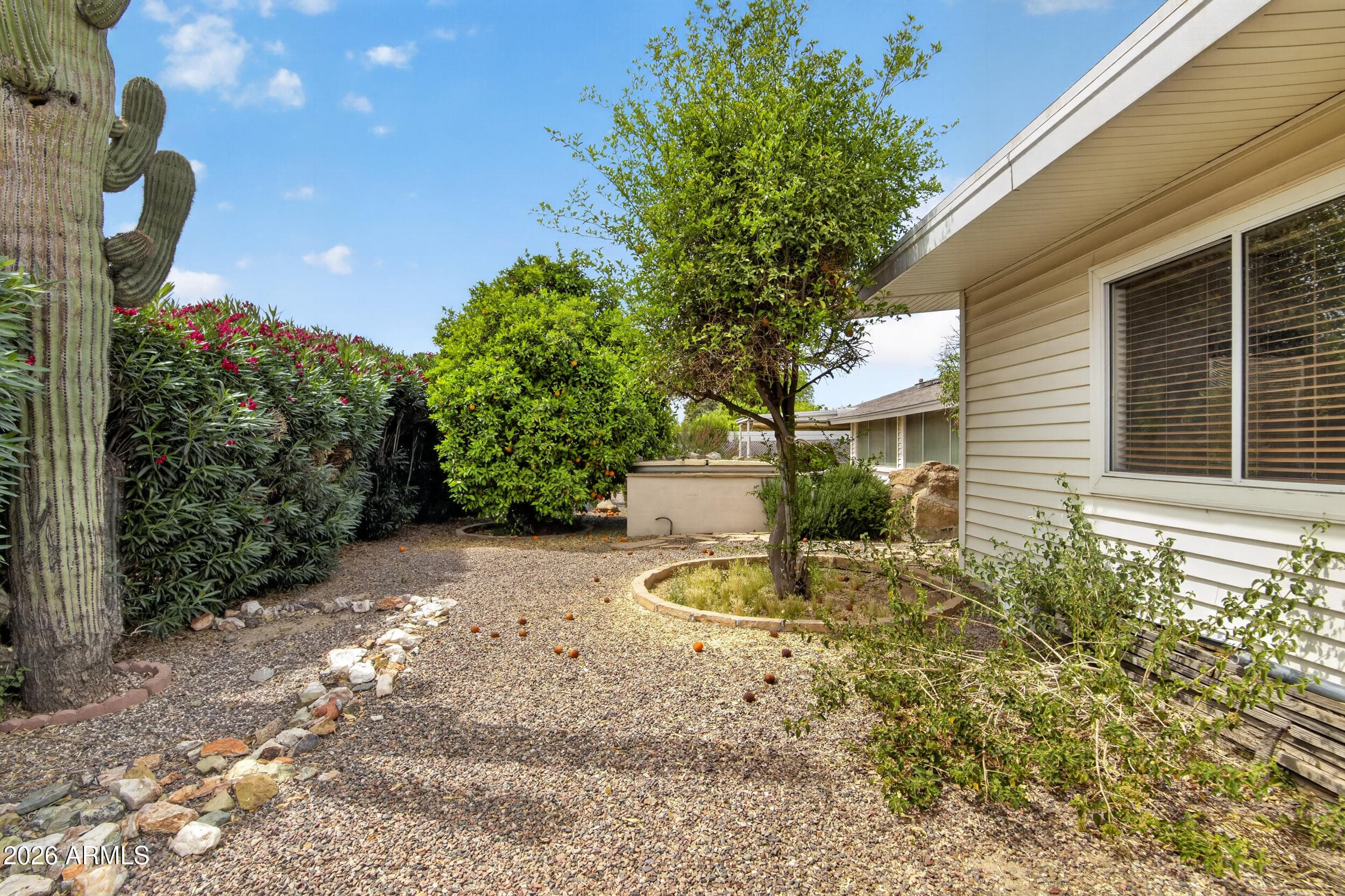 10317 W ANDOVER Avenue, Sun City, AZ 85351 — photo 33 of 34