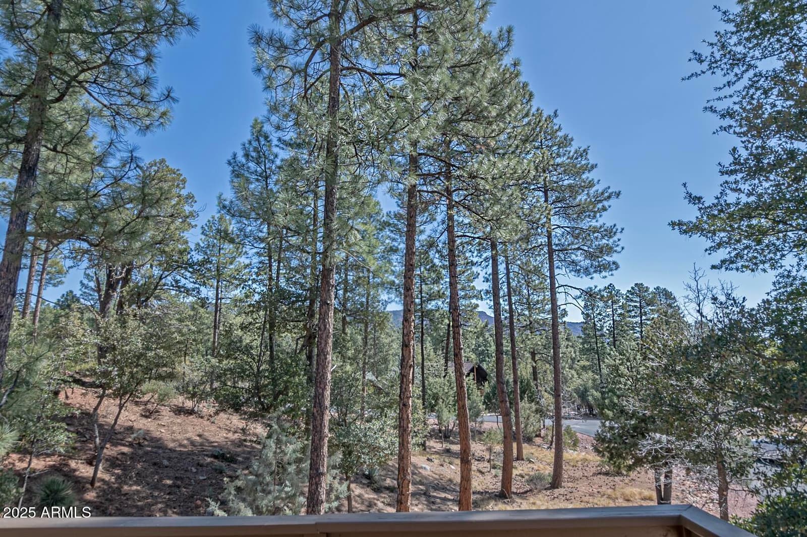4037 W Sage Court, Pine, AZ 85544 — photo 52 of 60