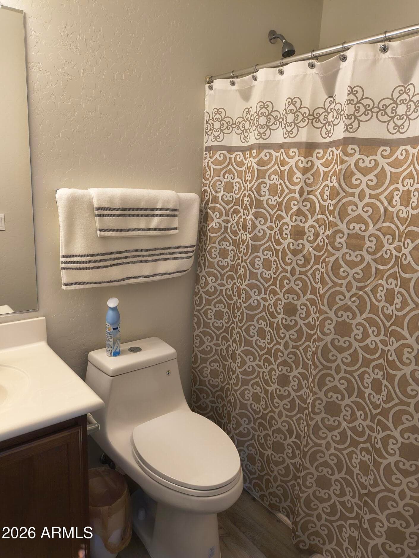 26021 N DESERT MESA Drive, Surprise, AZ 85387 — photo 19 of 36