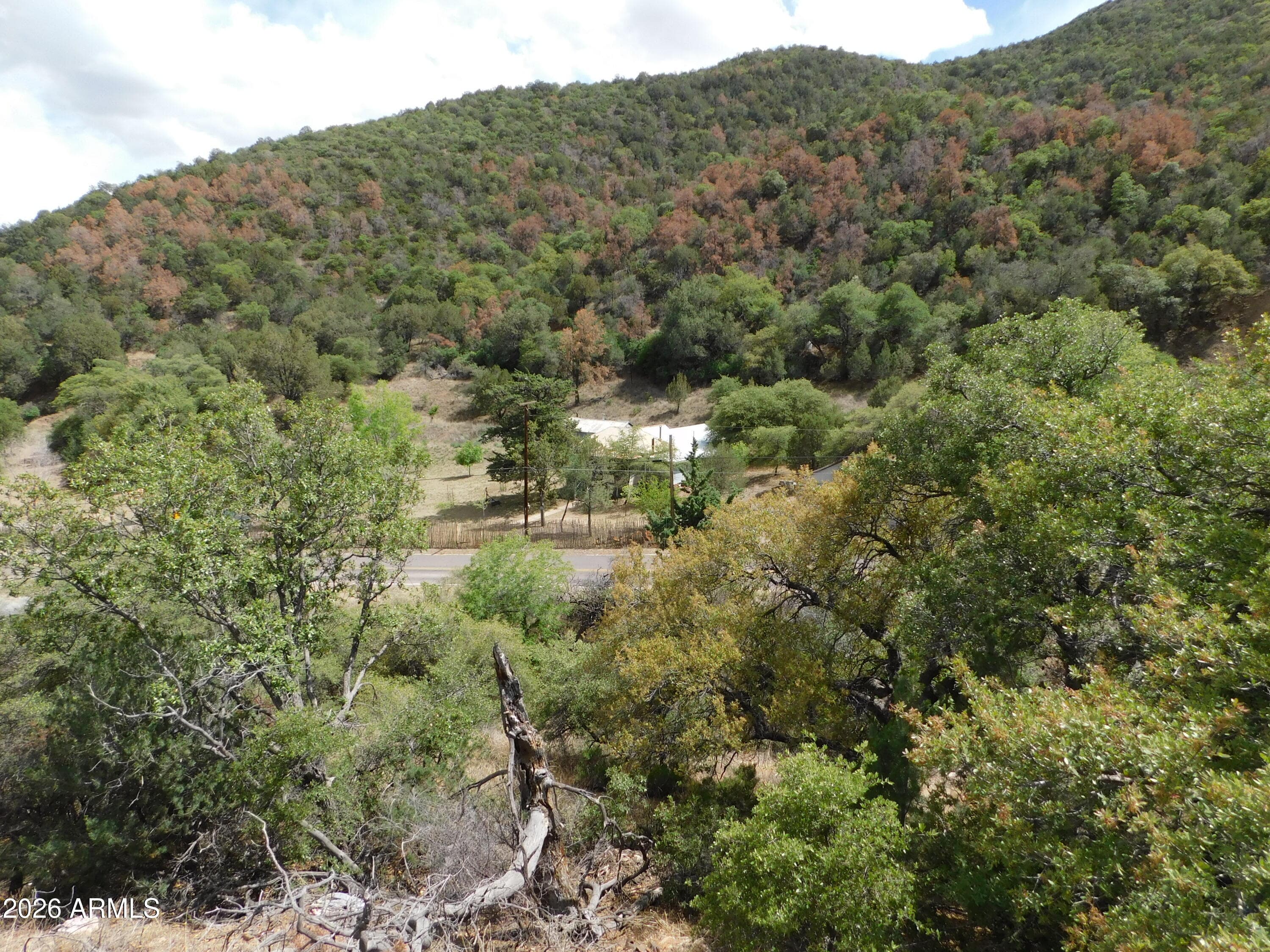 1697 TOMBSTONE Canyon, Bisbee, AZ 85603 — photo 55 of 67