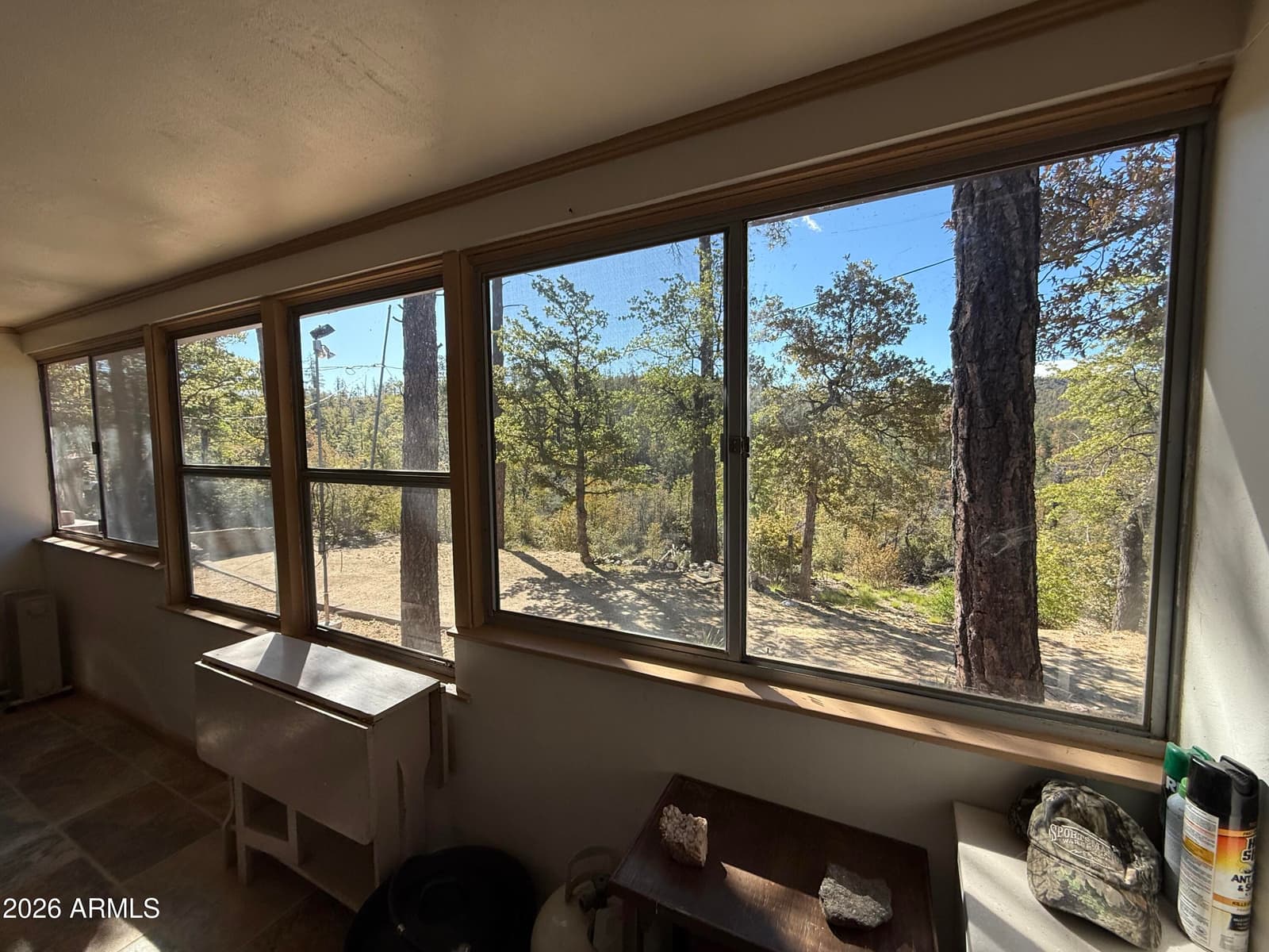4 S summer homes Drive, Crown King, AZ 86343 — photo 13 of 18