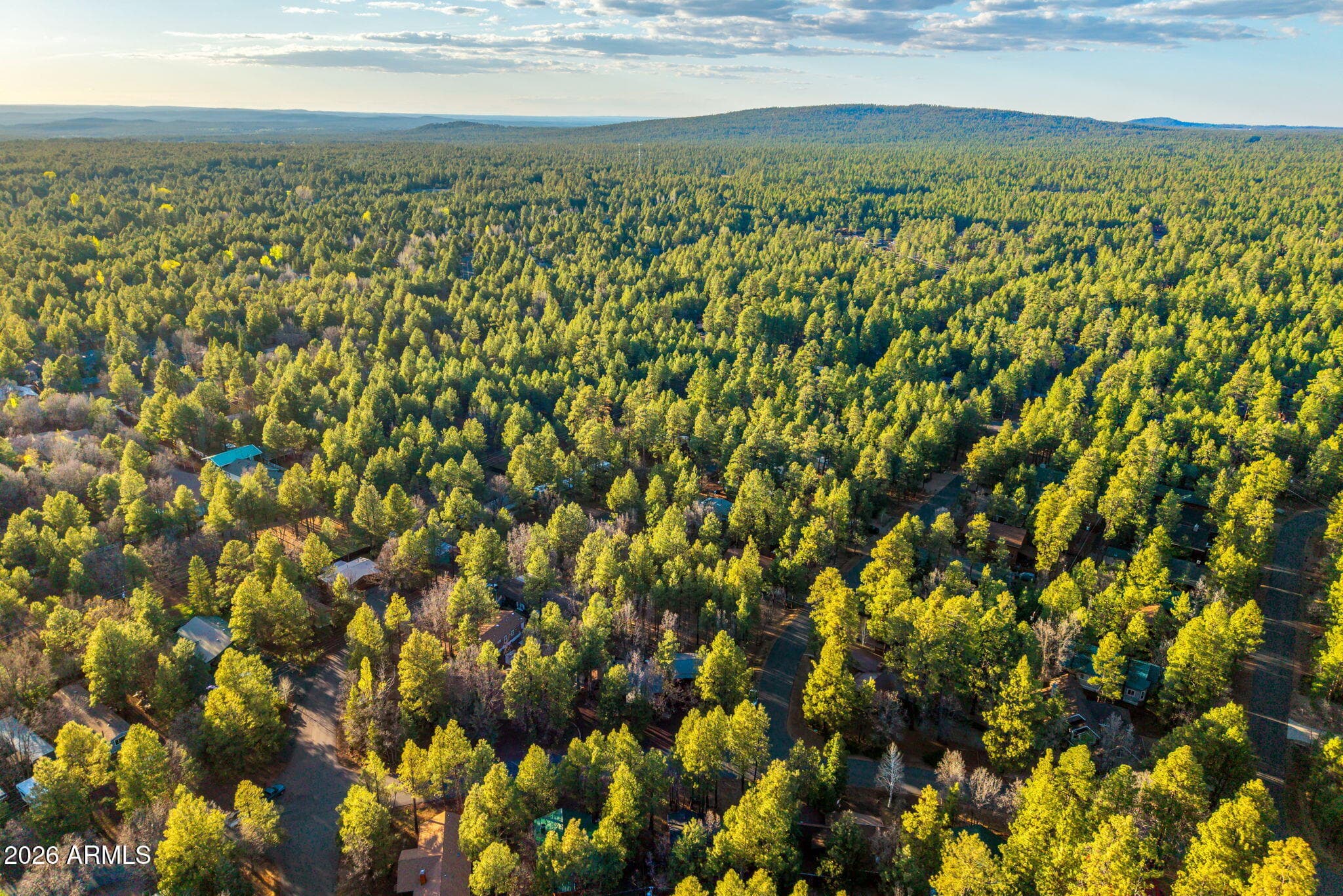 3824 W BERMUDA Circle, Pinetop, AZ 85935 — photo 40 of 43