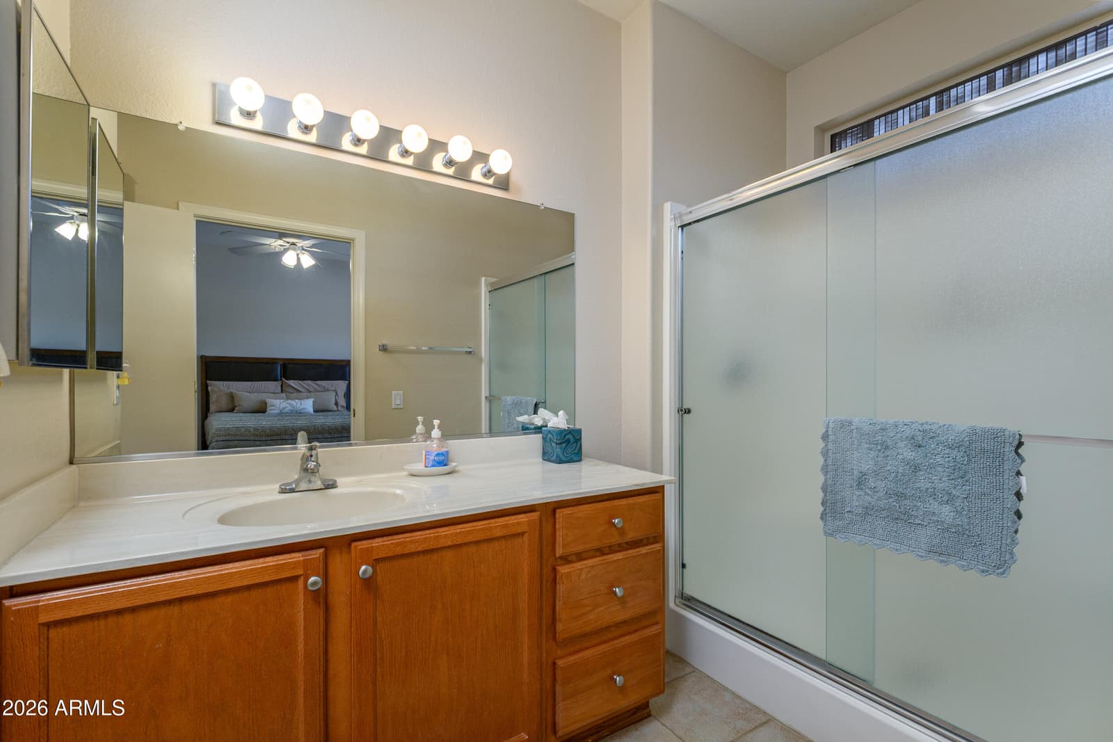 19421 N HIDDEN CANYON Drive, Surprise, AZ 85374 — photo 13 of 25