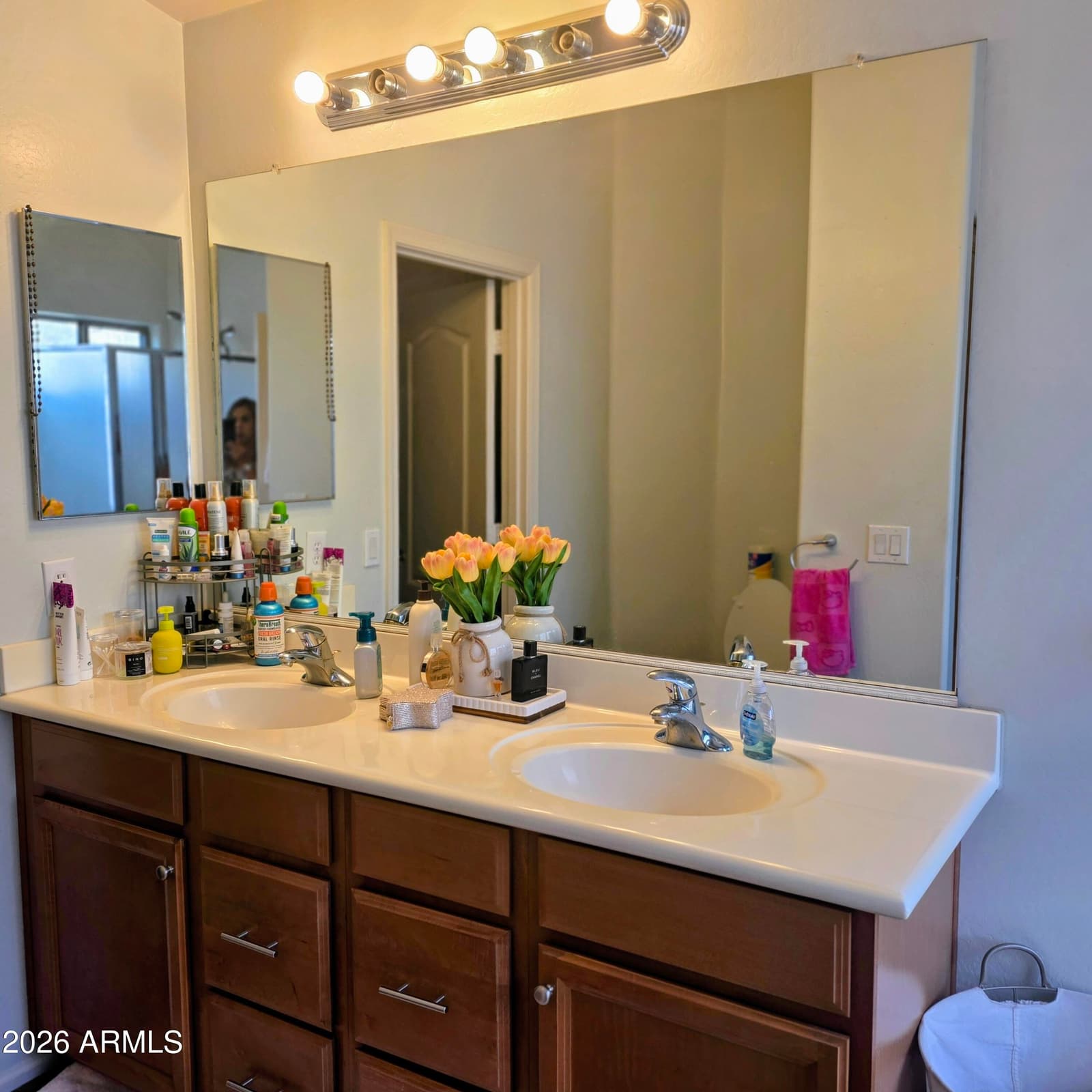 1702 E Nancy Avenue, San Tan Valley, AZ 85140 — photo 19 of 21