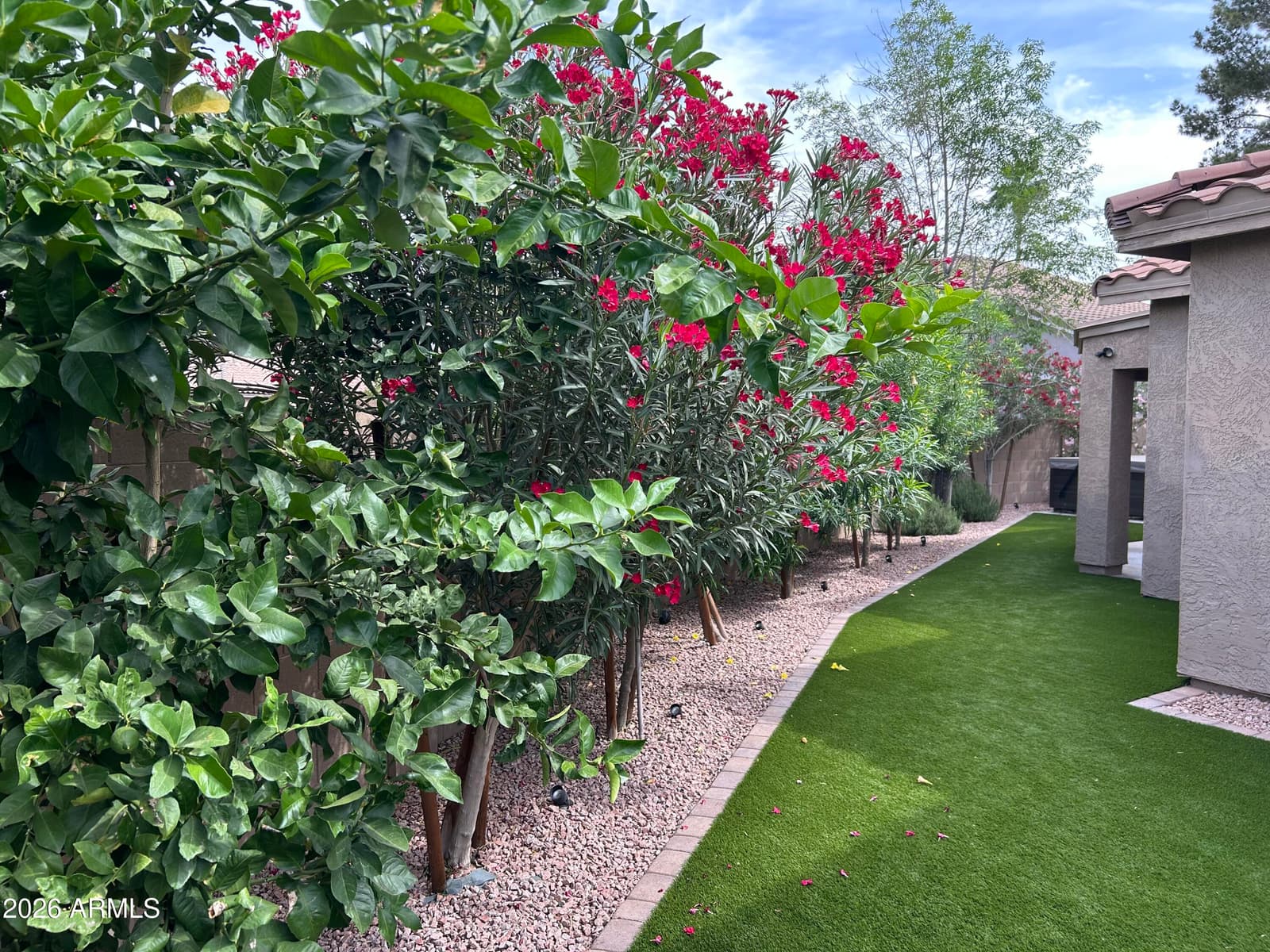 2782 W IVANHOE Street, Chandler, AZ 85224 — photo 52 of 53