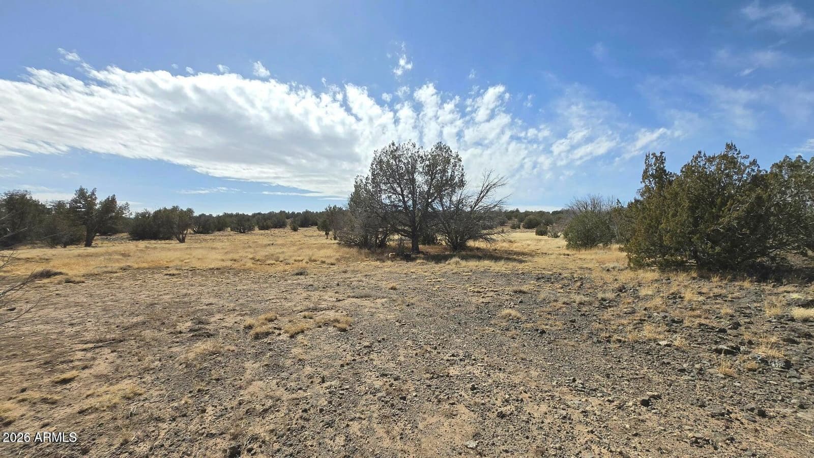 8495 W Antelope Run Road, Ash Fork, AZ 86320 — photo 34 of 42