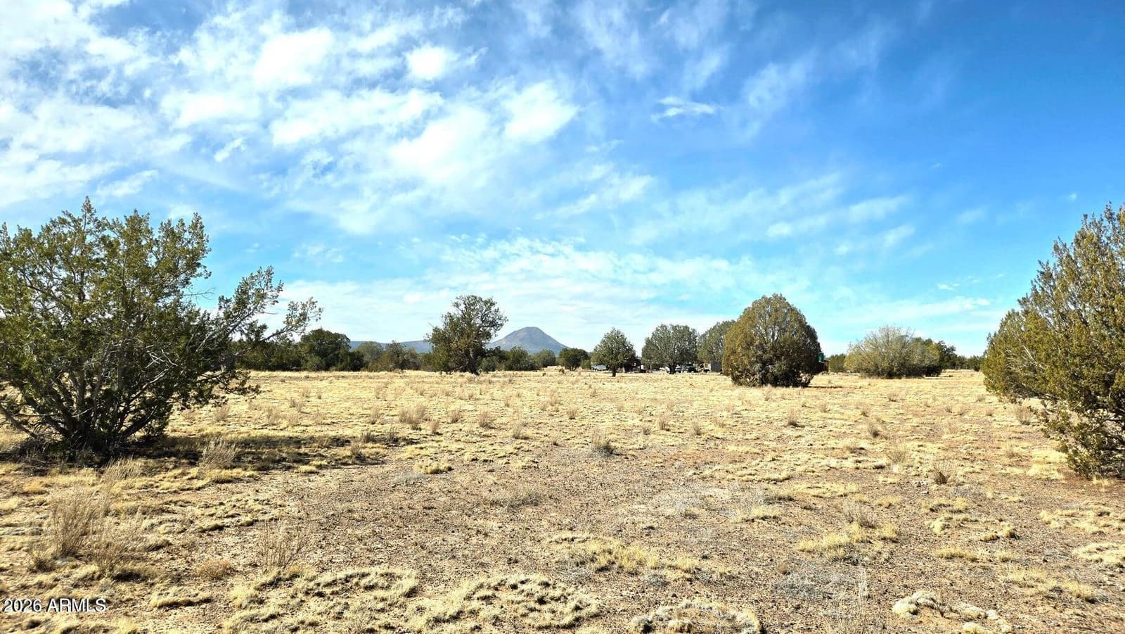 8495 W Antelope Run Road, Ash Fork, AZ 86320 — photo 38 of 42