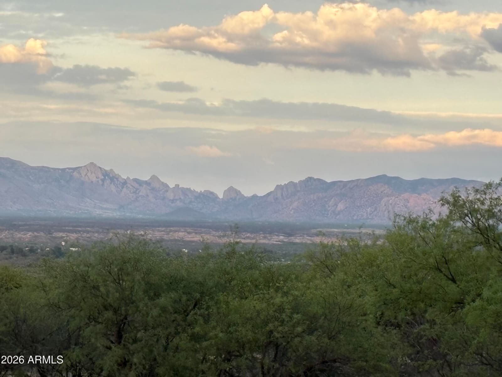 2305 W RABBITT Trail, Saint David, AZ 85630 — photo 21 of 40
